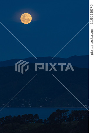 The supermoon as seen from Mount Victoria in Wellington, New Zealand 119916076