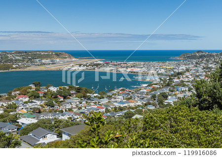 從紐西蘭威靈頓維多利亞山看到的威靈頓機場和城市景觀 119916086