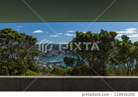 View of the city and harbour from Mount Victoria in Wellington, New Zealand View of the city and harbour from Mount Victoria in Wellington, New Zealand 119916100