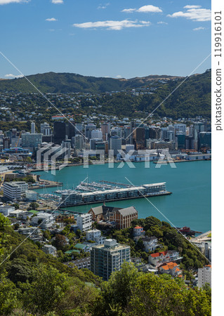 View of the city and harbour from Mount Victoria in Wellington, New Zealand View of the city and harbour from Mount Victoria in Wellington, New Zealand 119916101