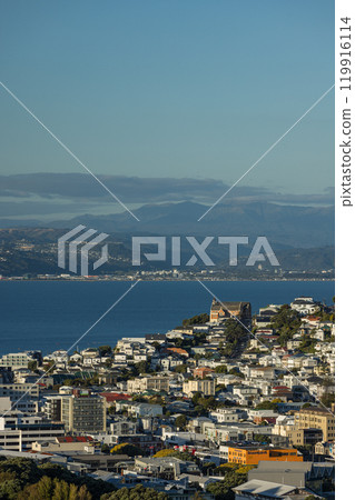 View of the city and harbour from Prince of Wales Park in Wellington, New Zealand View of the city and harbour from Prince of Wales Park in Wellington, New Zealand 119916114