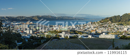 View of the city and harbour from Prince of Wales Park in Wellington, New Zealand 119916115