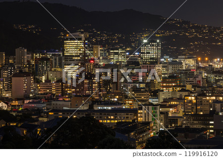 從紐西蘭威靈頓威爾斯王子公園看到的城市夜景 119916120