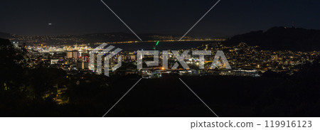 從紐西蘭威靈頓威爾斯王子公園看到的城市夜景 從紐西蘭威靈頓威爾斯王子公園看到的城市夜景 119916123