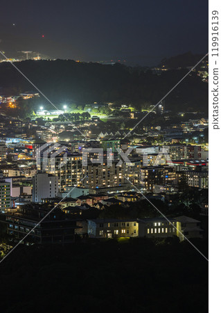 Night view of the city and harbor from Stelling Memorial Park in Wellington, New Zealand 119916139