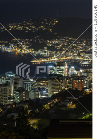 Night view of the city and harbor from Stelling Memorial Park in Wellington, New Zealand 119916140