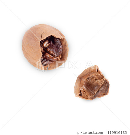 Walnut Organic Healthy Nut on White Background. File With Clipping Path. Walnut Organic Healthy Nut on White Background. File With Clipping Path. 119916183