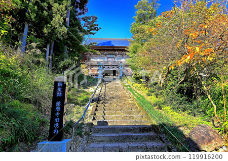 National Historic Site: Zuihozan Jionji Temple Main Gate (Niomon) 119916200