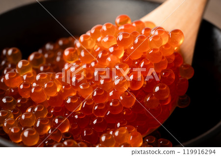 碗裡用醬油醃製的鮭魚子的特寫 碗裡用醬油醃製的鮭魚子的特寫 119916294