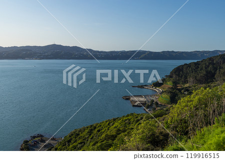 View of the city and Evans Bay from Maupuia Park in Wellington, New Zealand View of the city and Evans Bay from Maupuia Park in Wellington, New Zealand 119916515