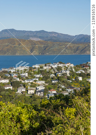 View of the cityscape from Maupuia Park in Wellington, New Zealand View of the cityscape from Maupuia Park in Wellington, New Zealand 119916516