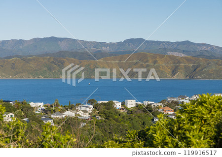 View of the cityscape from Maupuia Park in Wellington, New Zealand View of the cityscape from Maupuia Park in Wellington, New Zealand 119916517