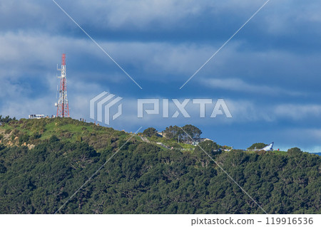 紐西蘭威靈頓威爾斯王子公園的維多利亞山無線電塔 紐西蘭威靈頓威爾斯王子公園的維多利亞山無線電塔 119916536