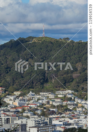 紐西蘭威靈頓威爾斯王子公園的維多利亞山無線電塔 紐西蘭威靈頓威爾斯王子公園的維多利亞山無線電塔 119916539