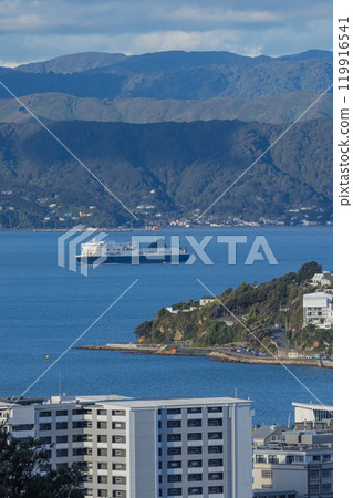 View of the city and ferry from Prince of Wales Park in Wellington, New Zealand 119916541