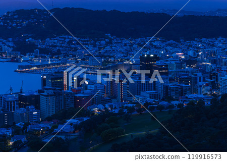 從紐西蘭惠靈頓斯特林紀念公園看到的城市和港口的清晨景色 119916573