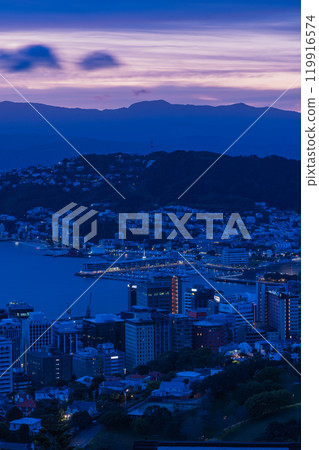 從紐西蘭惠靈頓斯特林紀念公園看到的城市和港口的清晨景色 從紐西蘭惠靈頓斯特林紀念公園看到的城市和港口的清晨景色 119916574