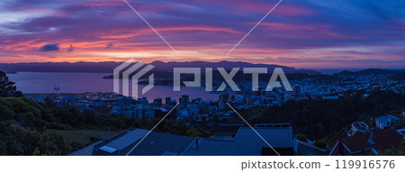 Early morning view of the city and harbour from Stelling Memorial Park in Wellington, New Zealand 119916576