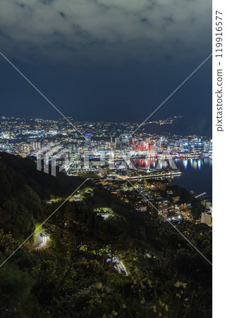 Night view of the harbour from Mount Victoria in Wellington, New Zealand 119916577