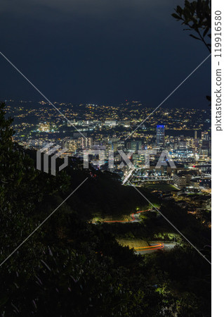 Night view of the harbour from Mount Victoria in Wellington, New Zealand 119916580