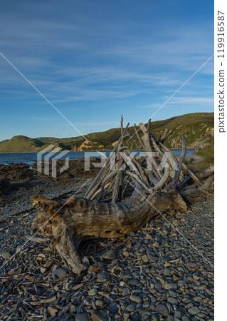 紐西蘭威靈頓郊區馬卡拉海灘風景 119916587