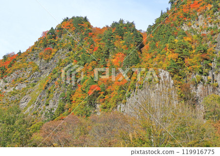Akiyamago Mt. Kinshu no Nunoiwa Akiyamago Mt. Kinshu no Nunoiwa 119916775