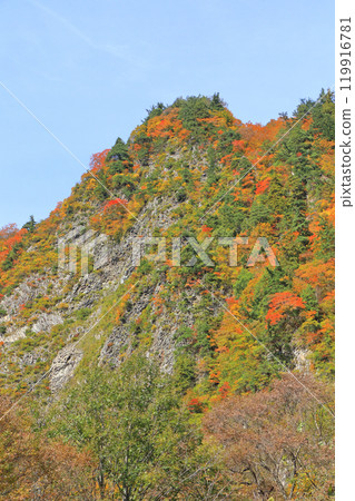 Akiyamago Mt. Kinshu no Nunoiwa 119916781