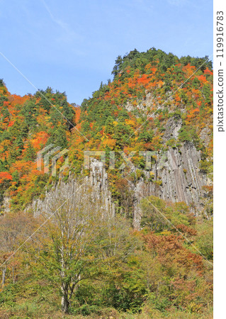 Akiyamago Mt. Kinshu no Nunoiwa 119916783