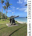Cannons in Guam 119916911