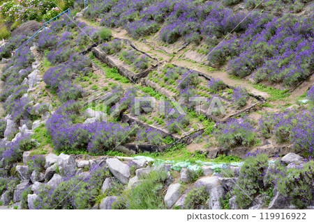 阿武隈洞窟地區景觀 #40 119916922