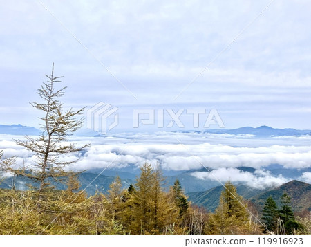 Autumn sea of clouds at Utsukushigahara Highlands Autumn sea of clouds at Utsukushigahara Highlands 119916923