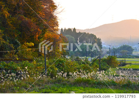 明智鐵道的秋景 119917793