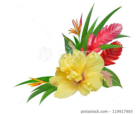Hibiscus flower and bird of paradise flower with tropical leaves arrangement 119917985