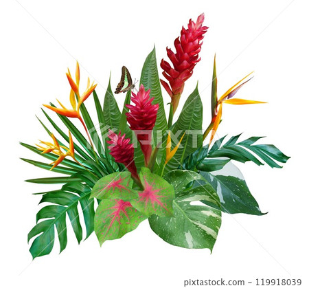 Red Ginger flowers and bird of paradise flowers with tropical leaves Red Ginger flowers and bird of paradise flowers with tropical leaves 119918039
