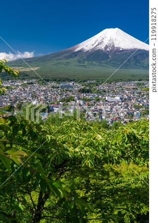 「山梨縣」初夏大雪的富士山/新倉山淺間公園新綠 119918275