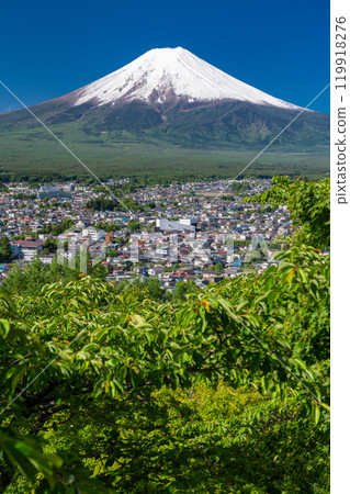 「山梨縣」初夏大雪的富士山/新倉山淺間公園新綠 119918276
