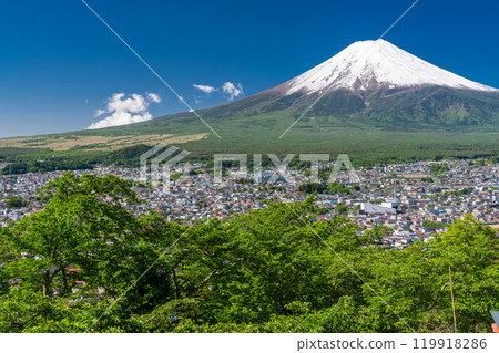 "Yamanashi Prefecture" Mt. Fuji with a large snow cap in early summer / Arakurayama Sengen Park with fresh green 119918286