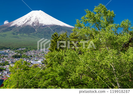 「山梨縣」初夏大雪的富士山/新倉山淺間公園新綠 119918287
