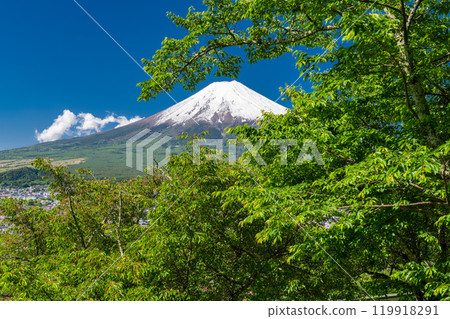 "Yamanashi Prefecture" Mt. Fuji with a large snow cap in early summer / Arakurayama Sengen Park with fresh green 119918291