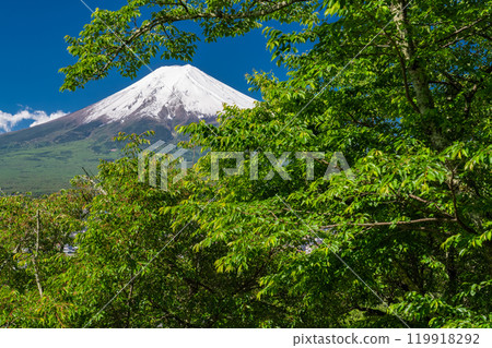 "Yamanashi Prefecture" Mt. Fuji with a large snow cap in early summer / Arakurayama Sengen Park with fresh green 119918292