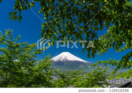 「山梨縣」初夏大雪的富士山/新倉山淺間公園新綠 119918306
