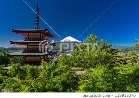 "Yamanashi Prefecture" Mt. Fuji with a large snow cap in early summer / Arakurayama Sengen Park with fresh green "Yamanashi Prefecture" Mt. Fuji with a large snow cap in early summer / Arakurayama Sengen Park with fresh green 119918370