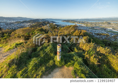 Wellington harbour and city as seen from Mount Albert in Wellington, New Zealand 119918407