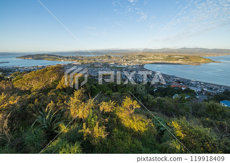從紐西蘭惠靈頓阿爾伯特山看惠靈頓港和市區 從紐西蘭惠靈頓阿爾伯特山看惠靈頓港和市區 119918409