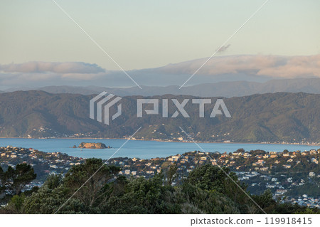 View from the summit of Mt Albert in Wellington, New Zealand 119918415