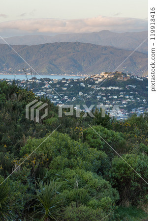 View from the summit of Mt Albert in Wellington, New Zealand 119918416
