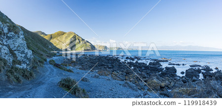 從紐西蘭威靈頓紅岩保護區地獄之門看到的景色 119918439