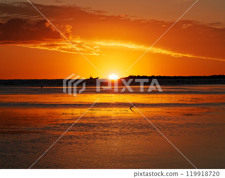 大豆角的朝日 大豆角的朝日 119918720