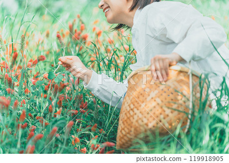 A woman harvesting strawberry candles 119918905