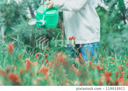 澆水草莓蠟燭的女人 119918911